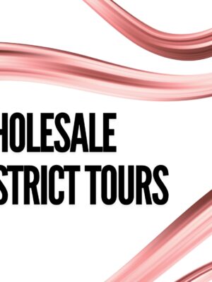 Wholesale District Tour (Chauffer Included)
